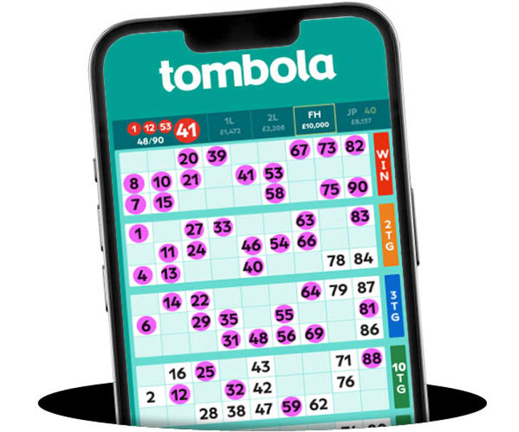 bingo90 winners example