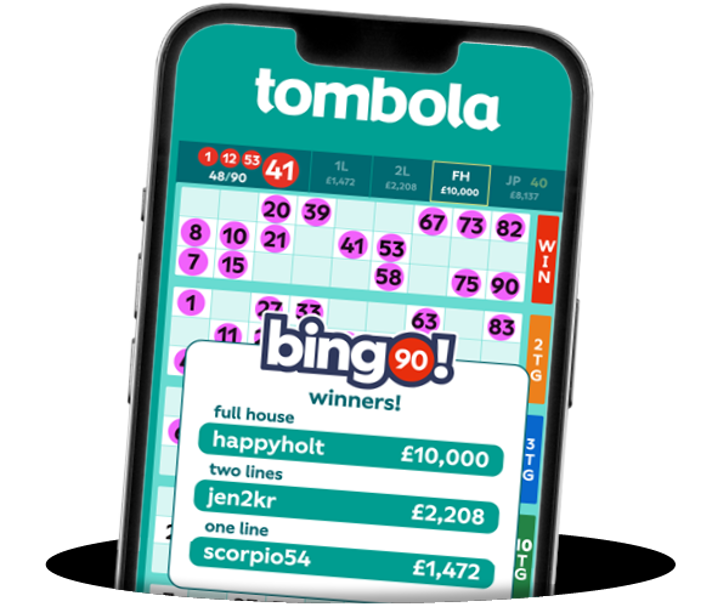 bingo90 winners example